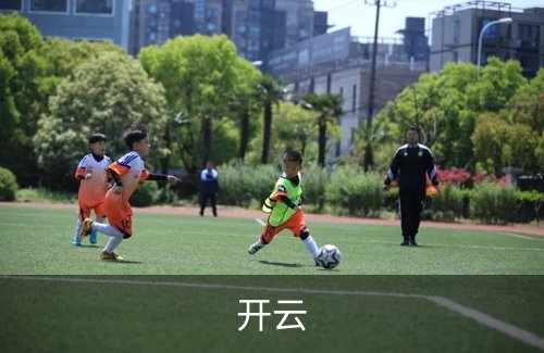 开云概况