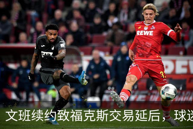 文班续约致福克斯交易延后，球迷失望？