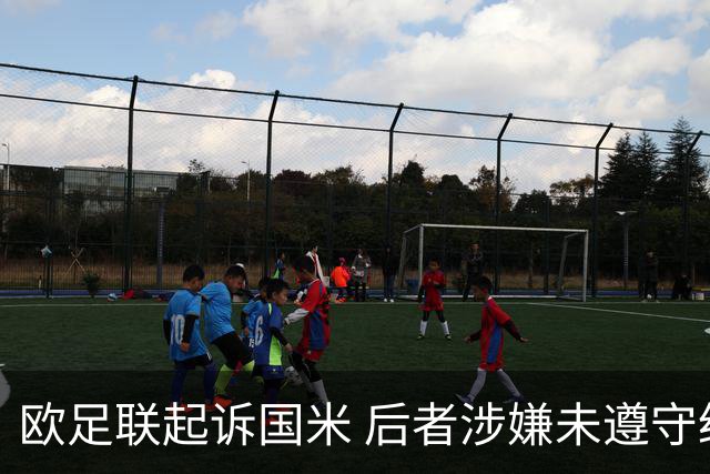 欧足联起诉国米 后者涉嫌未遵守经济公平竞赛规则