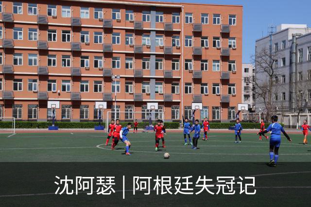 沈阿瑟 | 阿根廷失冠记