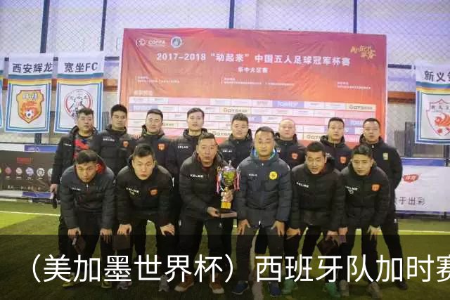 （美加墨世界杯）西班牙队加时赛1:0绝杀阿根廷队 夺得世界杯冠军